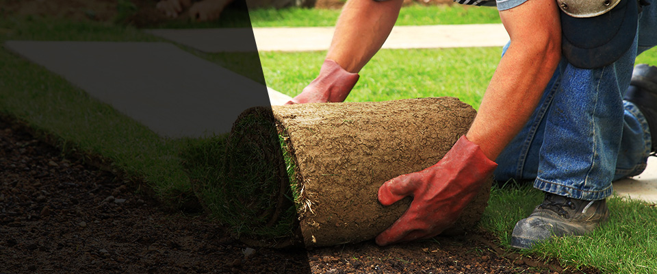 Lyndell Landscapers
